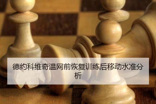 de-yue-ke-wei-qi-wen-wang-qian-hui-fu-xun-lian-hou-yi-dong-shui-zhun-fen-xi-2-480.jpg
